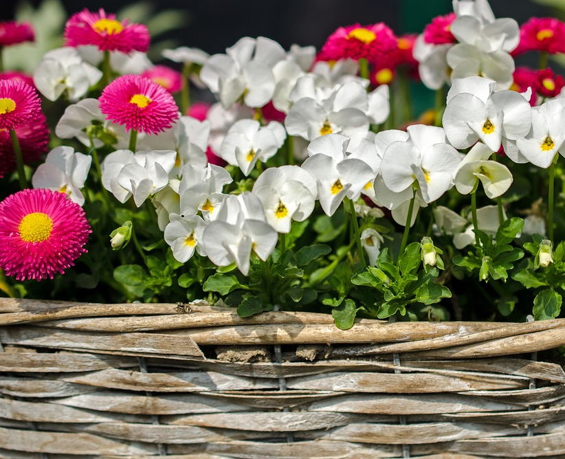 Hortico Gartenhochbeet, das Hochbeet für jeden Garten"